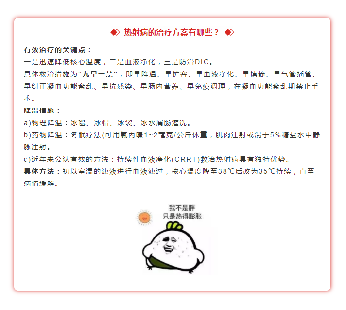 2025澳门原料网站