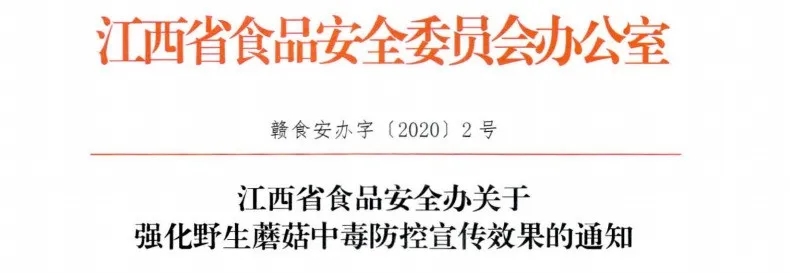 2025澳门原料网站