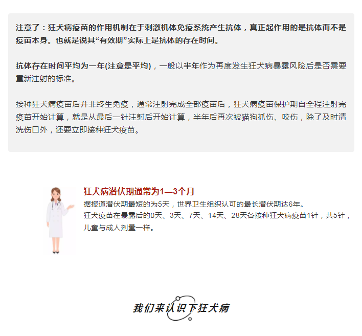 2025澳门原料网站
