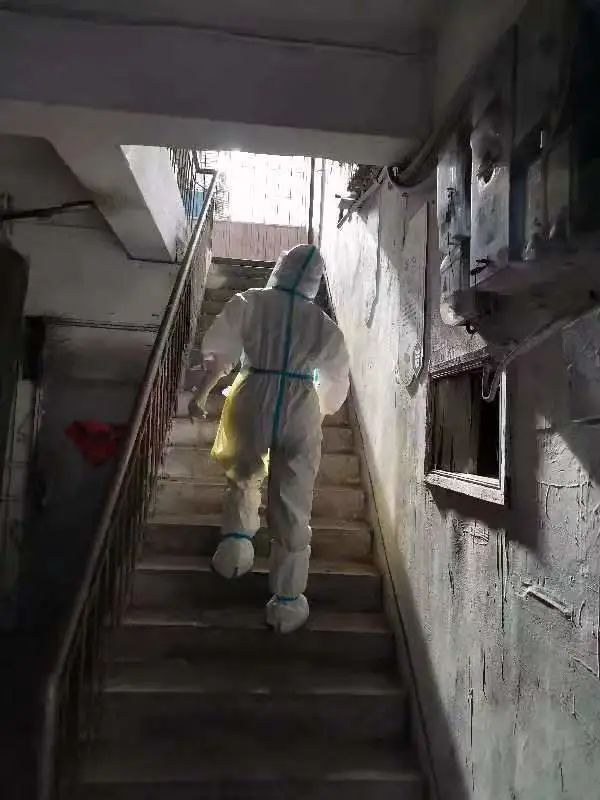 2025澳门原料网站