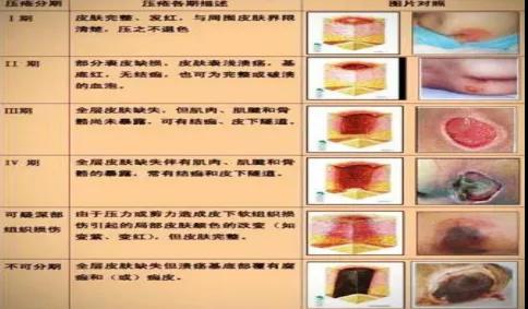 2025澳门原料网站