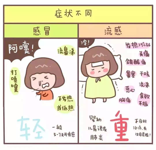 2025澳门原料网站
