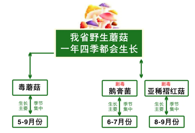 2025澳门原料网站