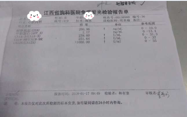 2025澳门原料网站