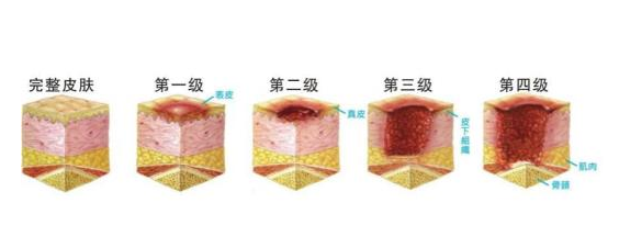 2025澳门原料网站