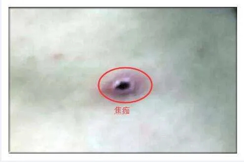 2025澳门原料网站