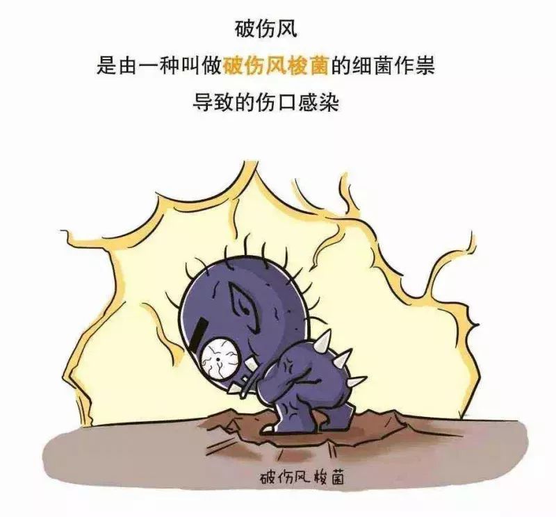 2025澳门原料网站