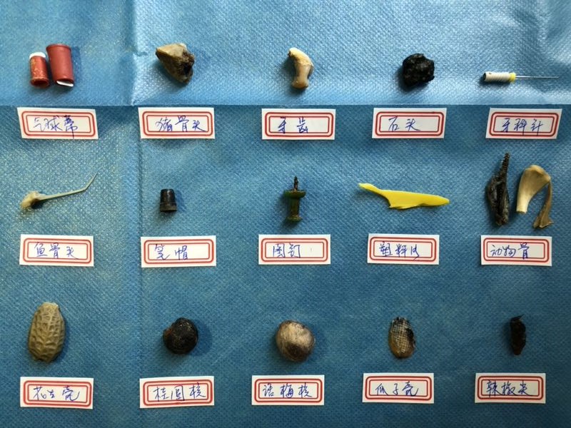 2025澳门原料网站