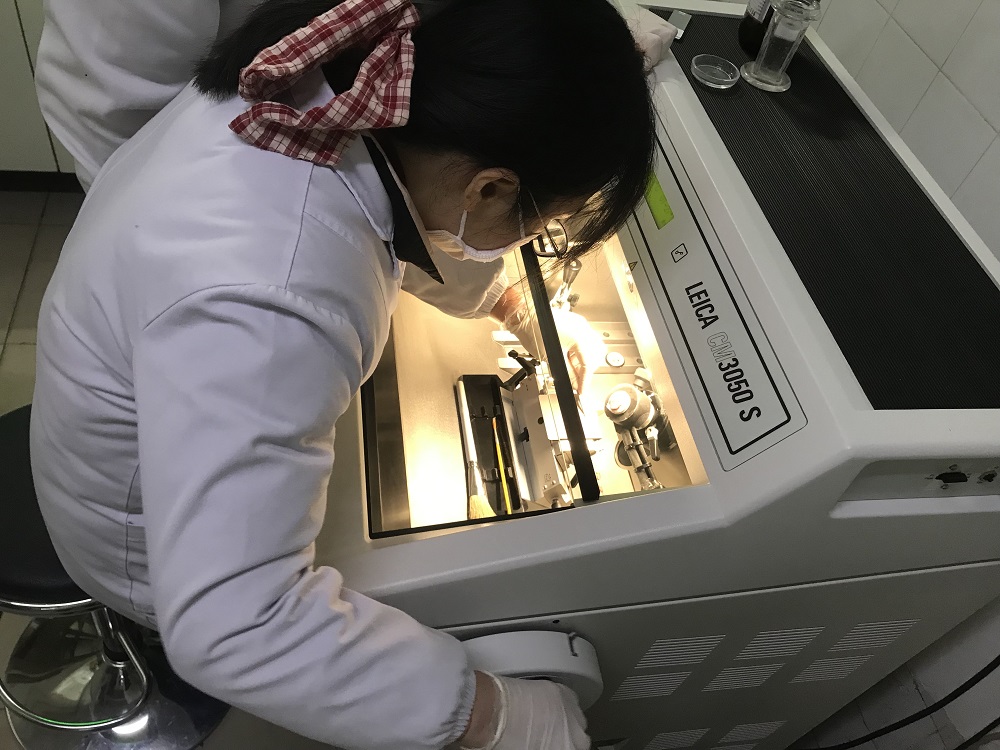 2025澳门原料网站