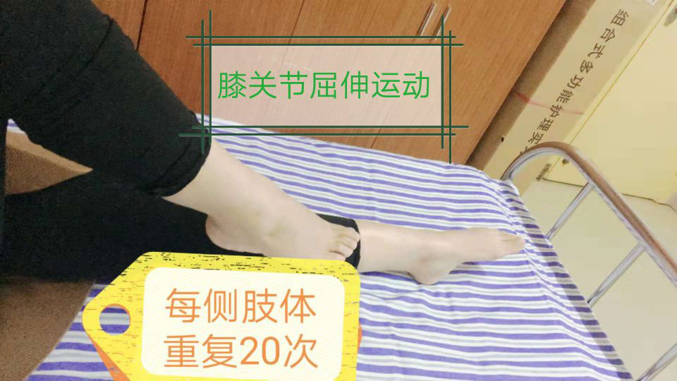 2025澳门原料网站