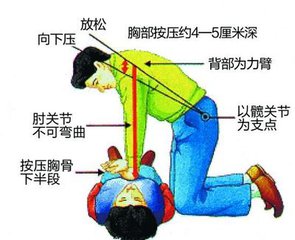 2025澳门原料网站