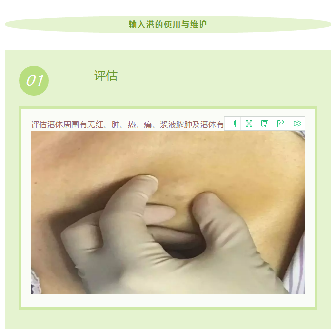 2025澳门原料网站