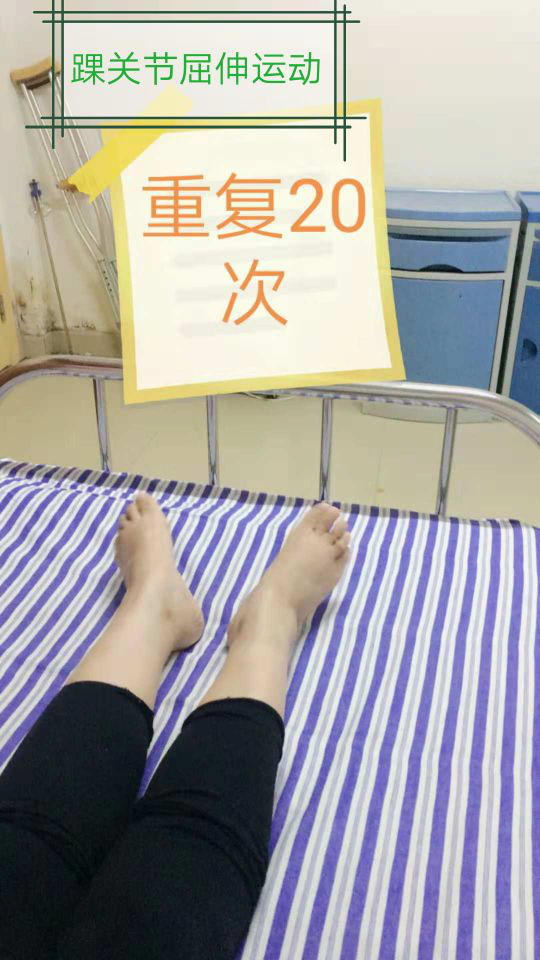 2025澳门原料网站