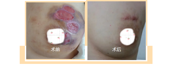 2025澳门原料网站