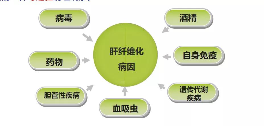 2025澳门原料网站