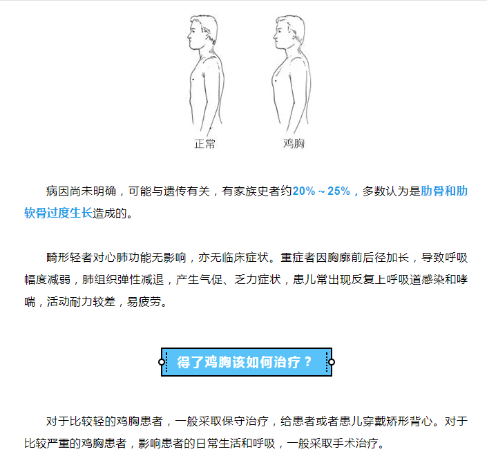 2025澳门原料网站