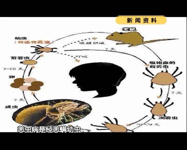 2025澳门原料网站