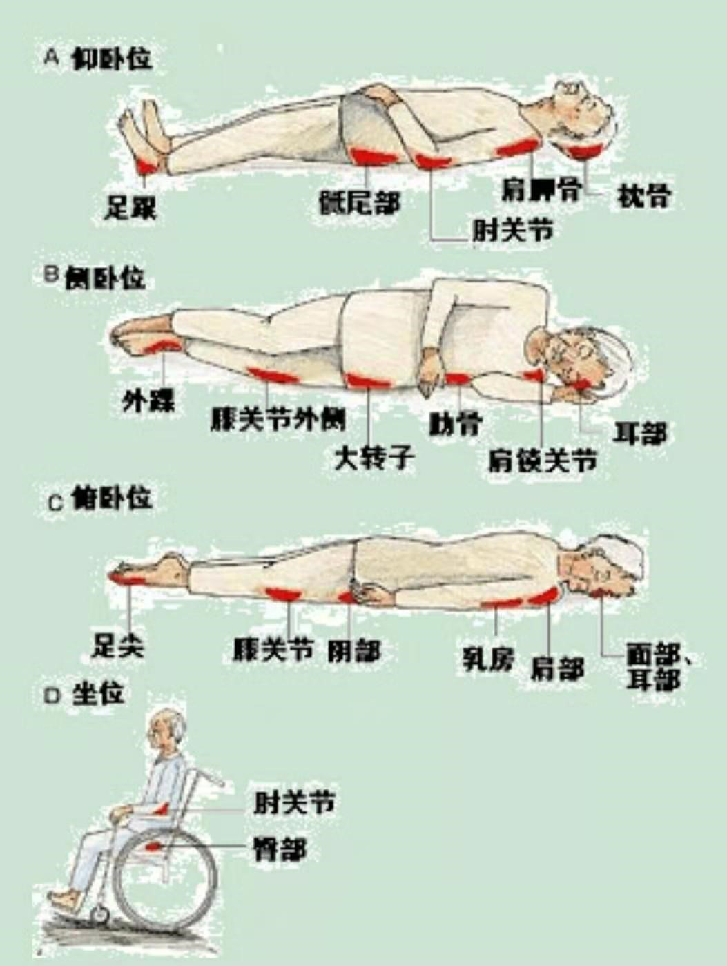 2025澳门原料网站