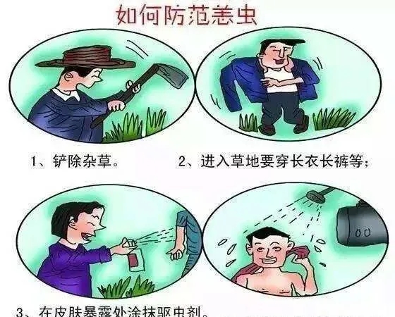 2025澳门原料网站