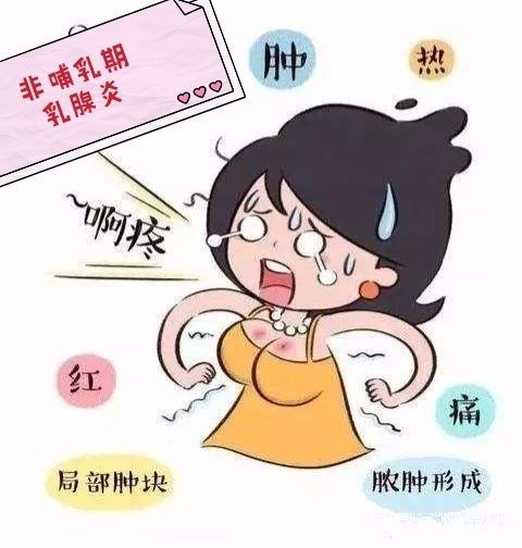 2025澳门原料网站