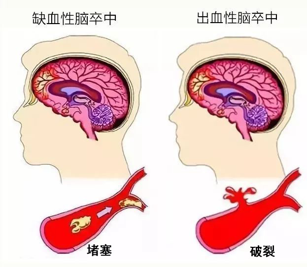 2025澳门原料网站