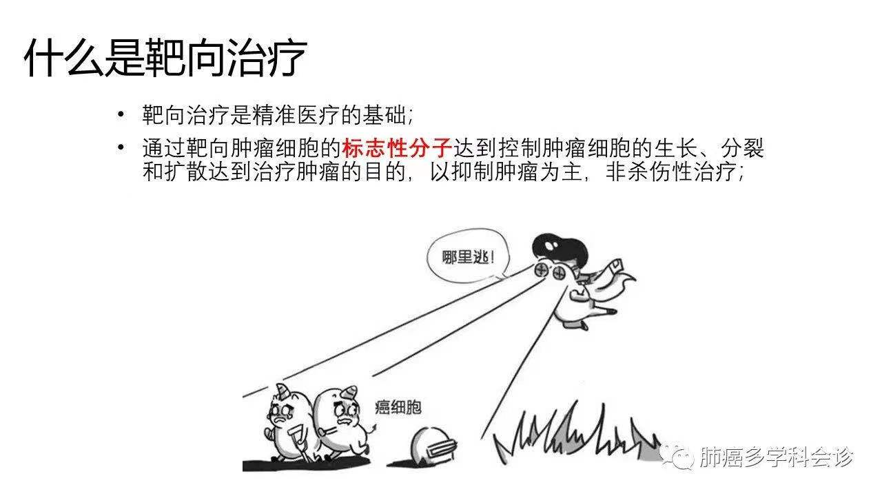 2025澳门原料网站