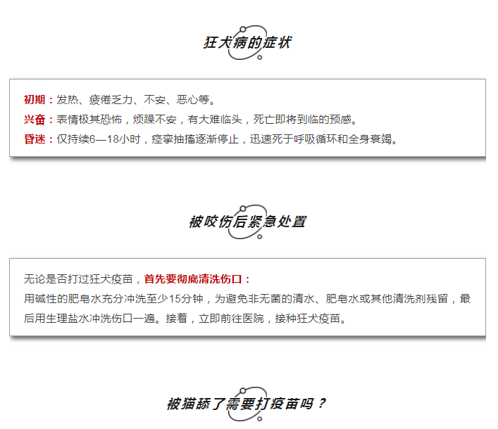 2025澳门原料网站
