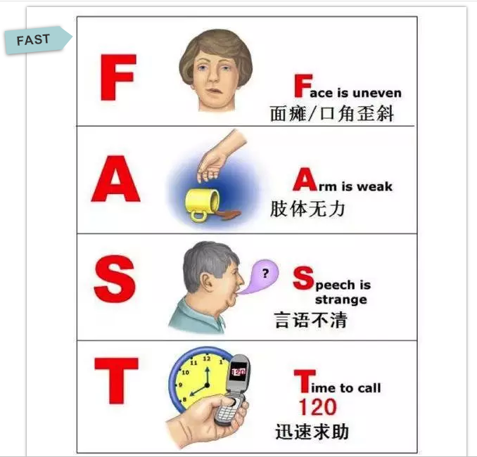 2025澳门原料网站